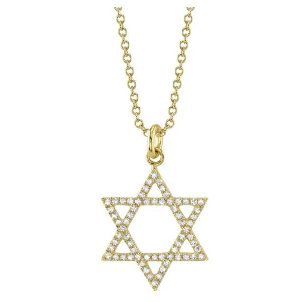 Birthstone pendant necklaces for women -Shy Creation Medium Star of David Necklace