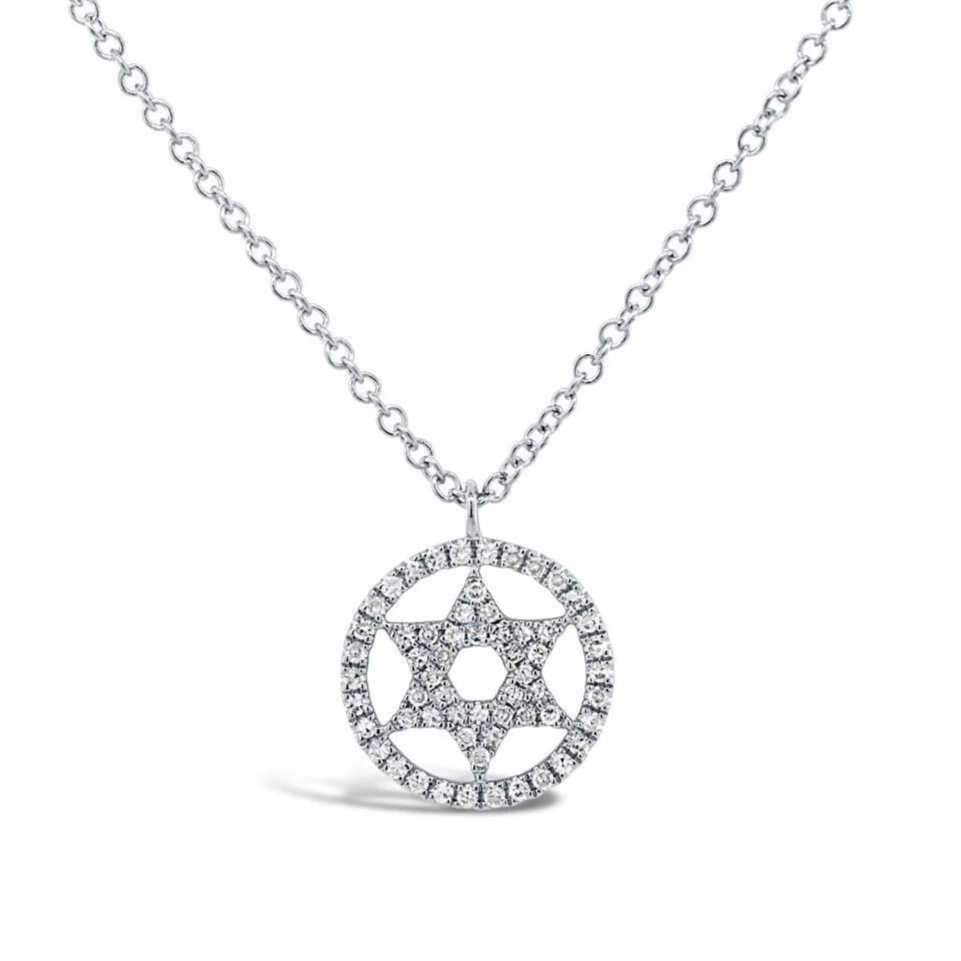 Designer luxury necklaces for women -Shy Creation Diamond Circle Star of David Necklace